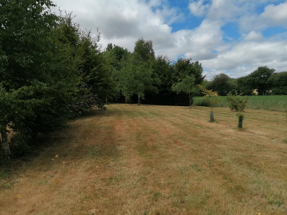 Aire camping-car  Saint-Andr-Goule-d'Oie (85250) - Photo 2